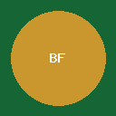 Bora Feeds (demo) logo